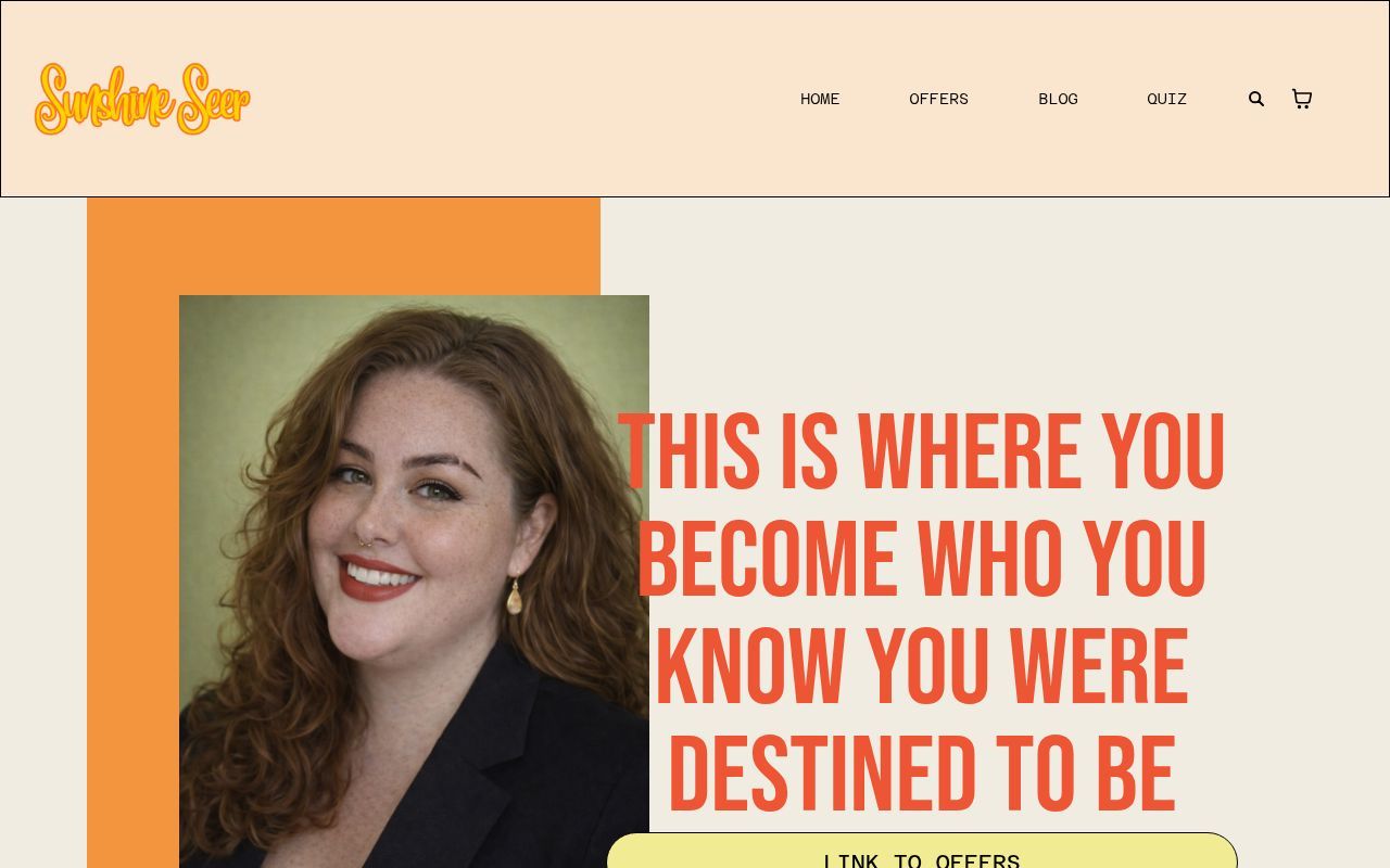 Homepage screenshot of sunshineseer.org