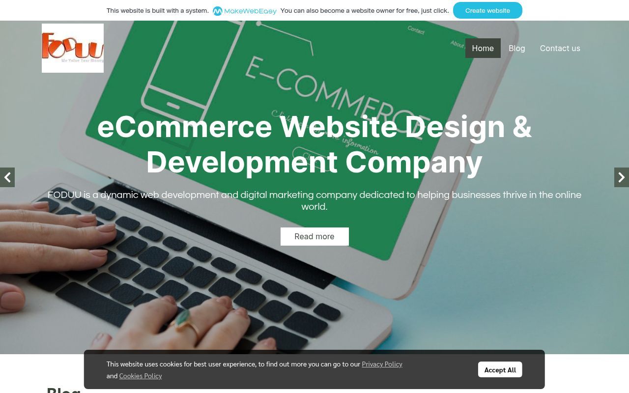Homepage screenshot of swatilalwani.makeweb.co