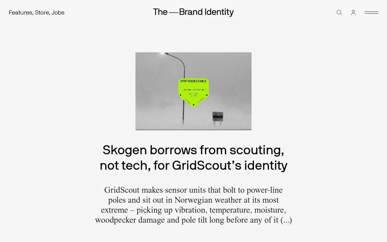 Homepage screenshot of the-brandidentity.com