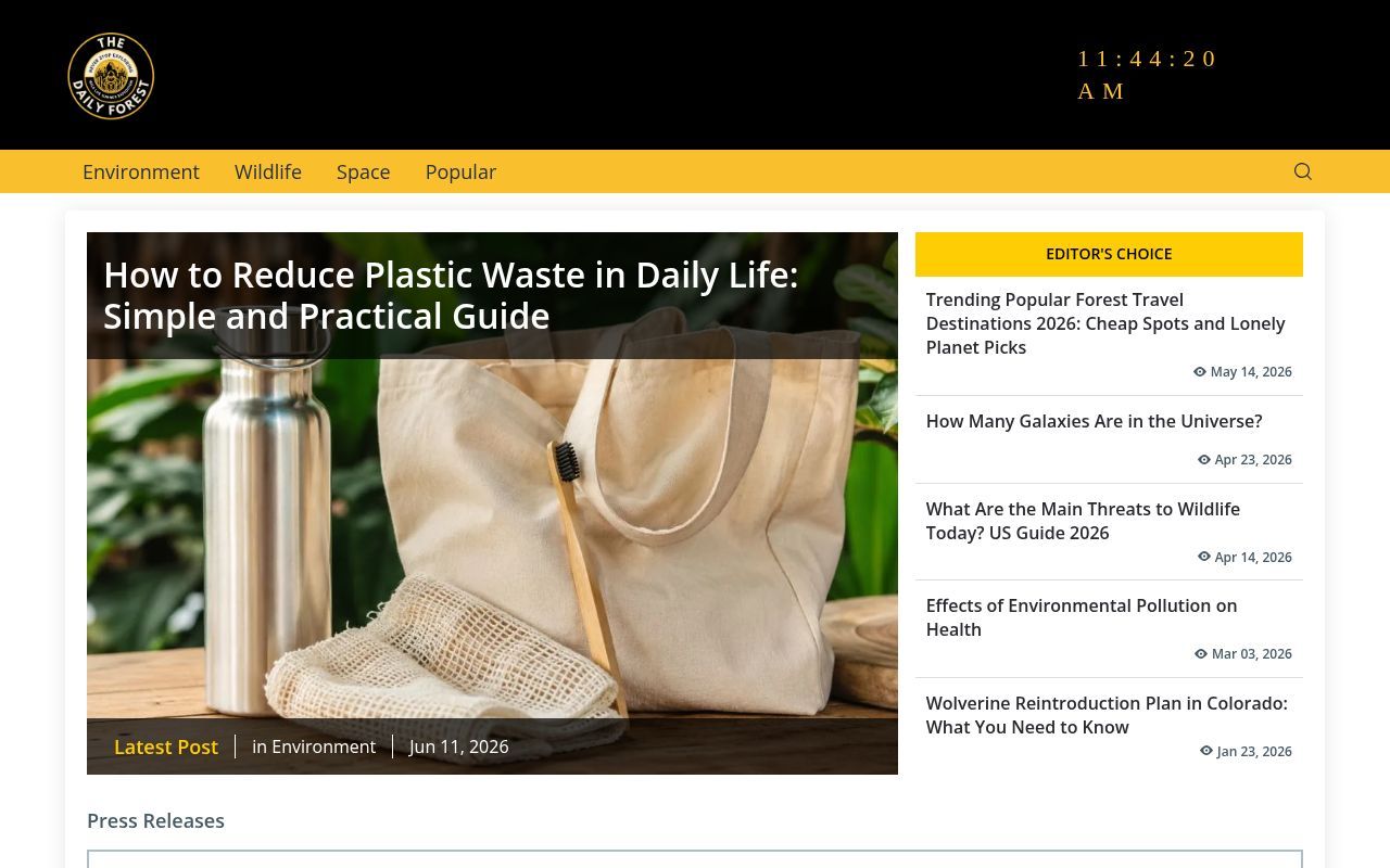 Homepage screenshot of thedailyforest.com