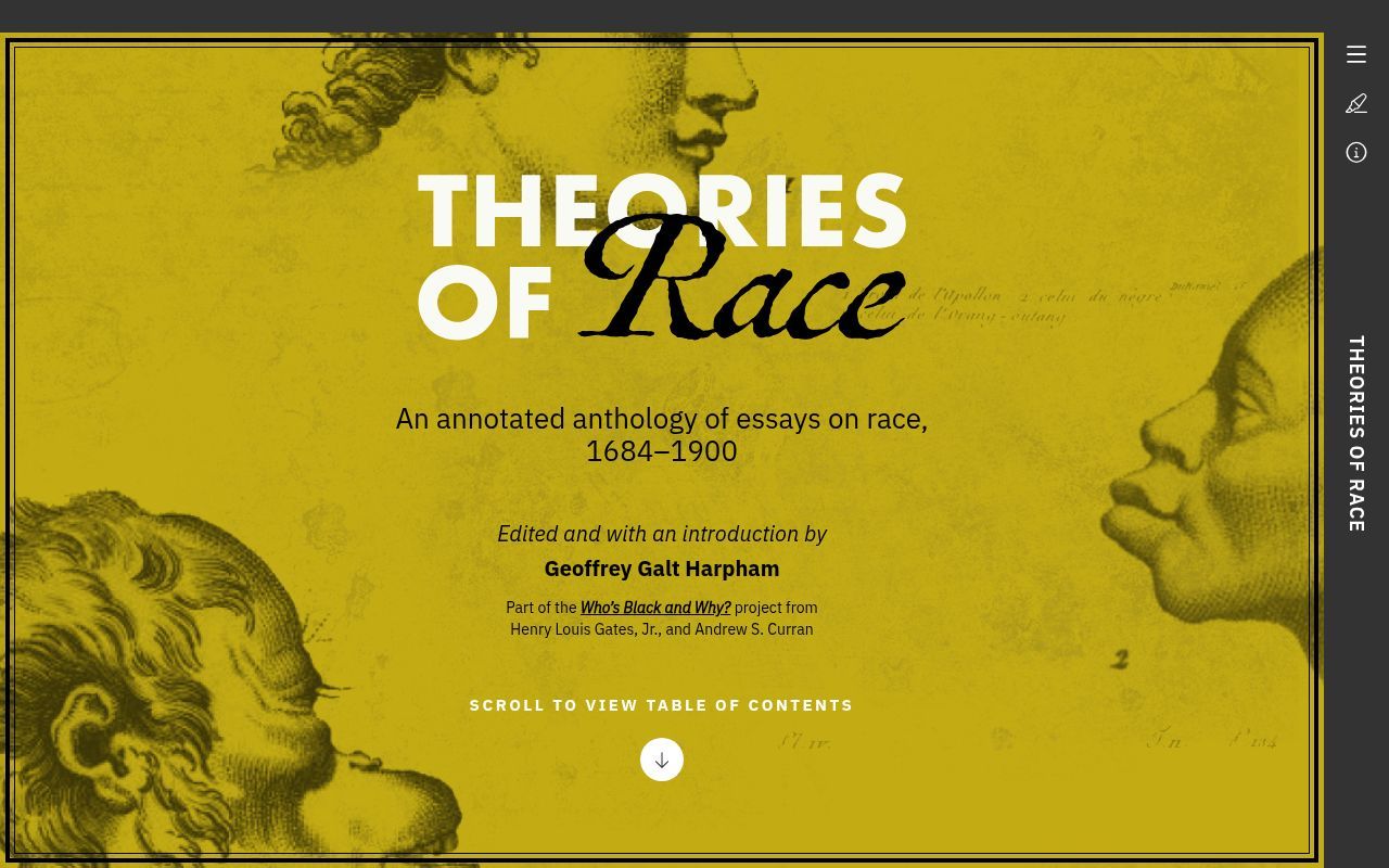 Homepage screenshot of theoriesofrace.com