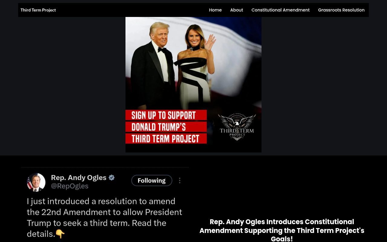 Homepage screenshot of thirdtermproject.com