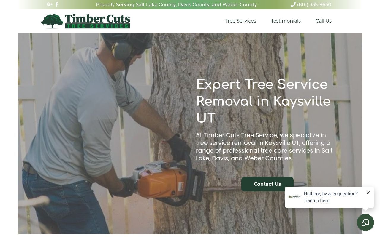 Homepage screenshot of timbercutsutah.com