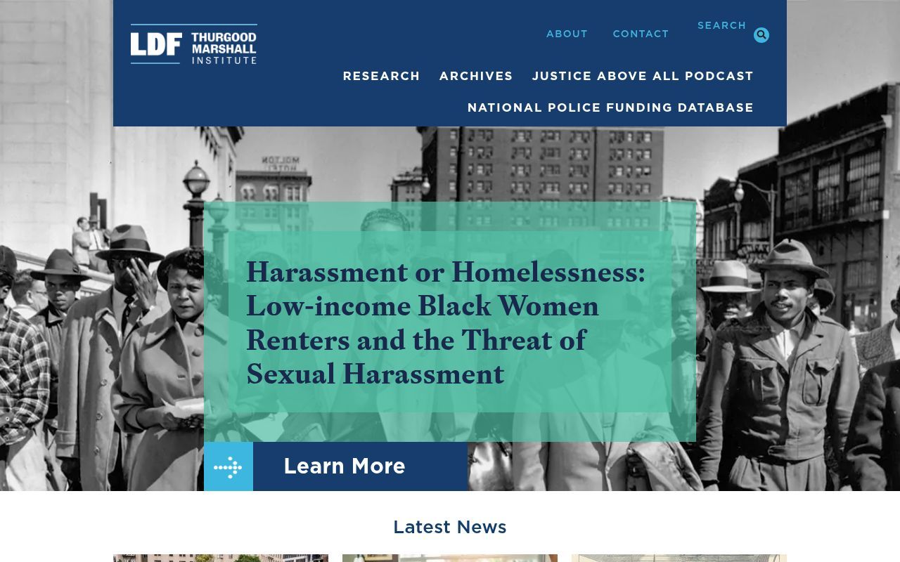 Homepage screenshot of tminstituteldf.org