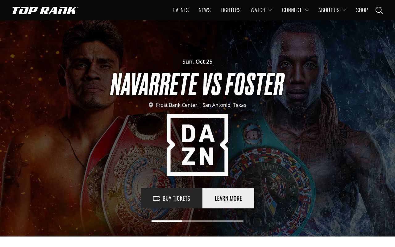 Homepage screenshot of toprank.com