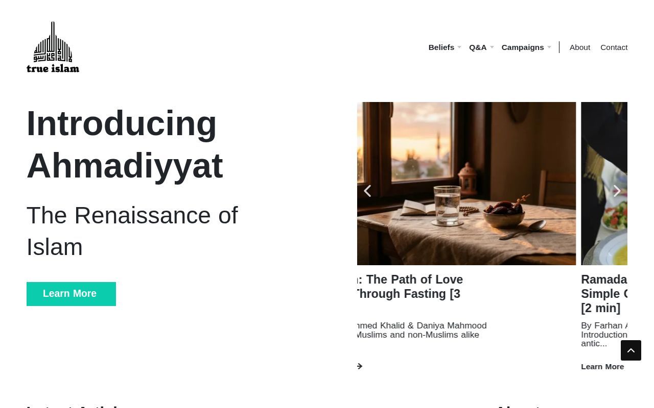 Homepage screenshot of trueislam.co.uk