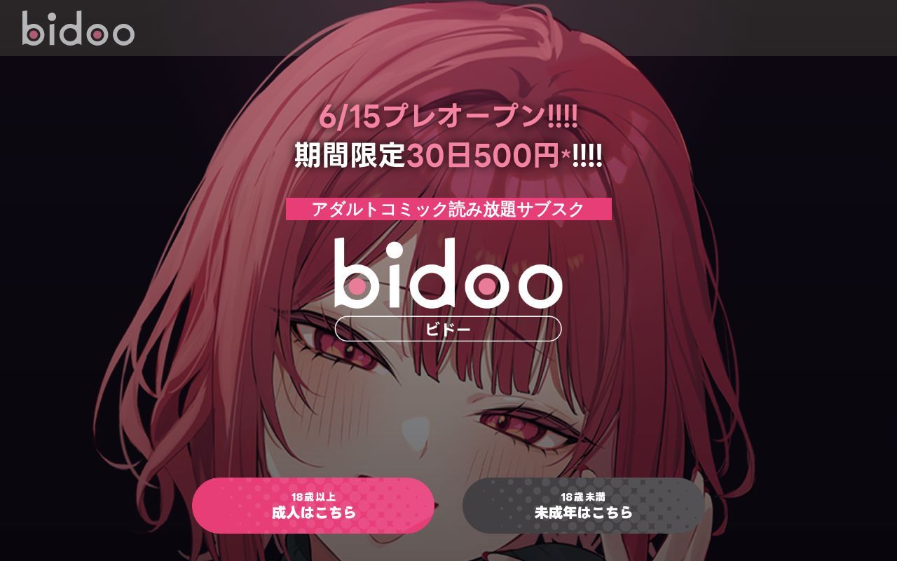 Homepage screenshot of user.bidoo.jp