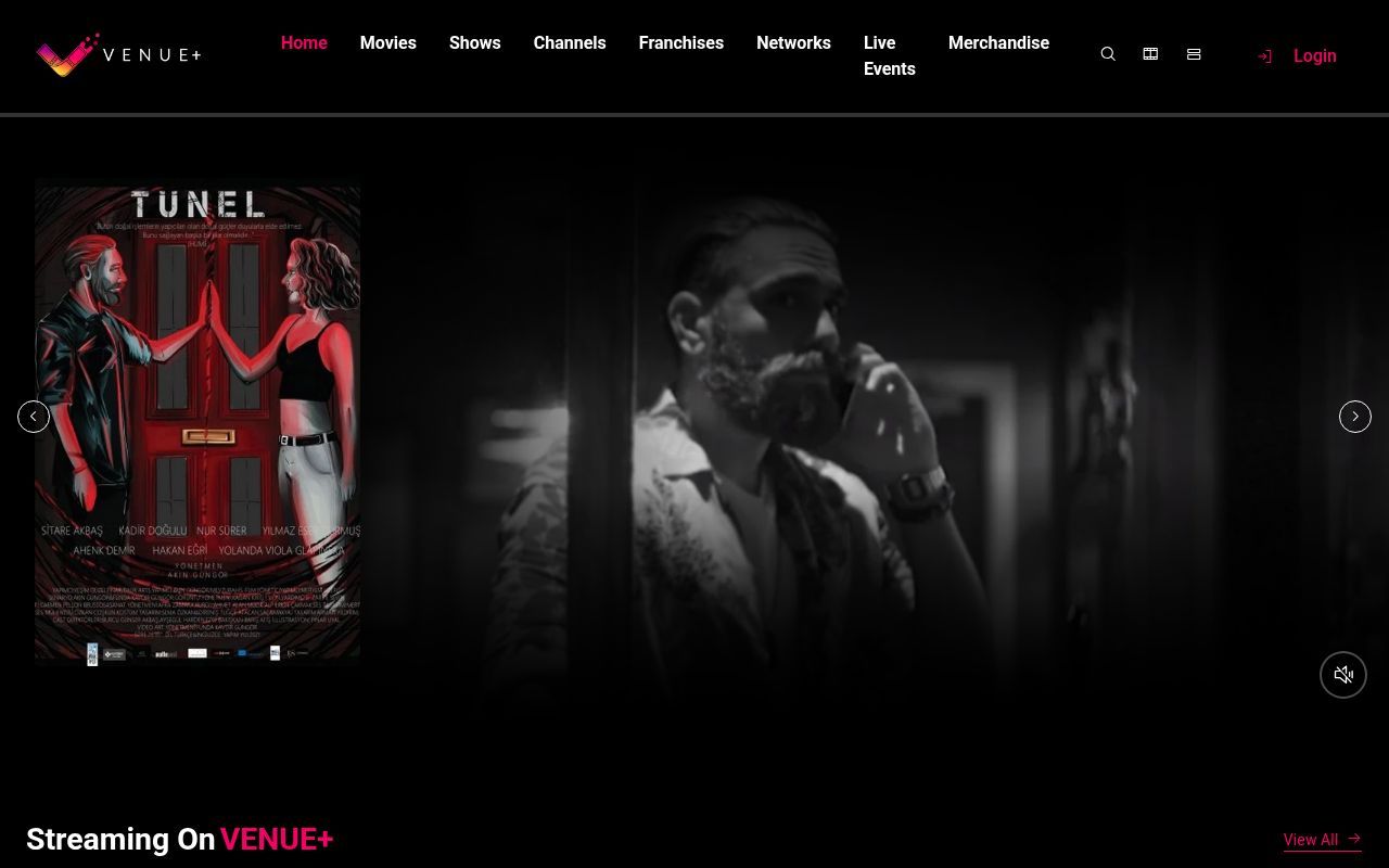 Homepage screenshot of venueplus.stream