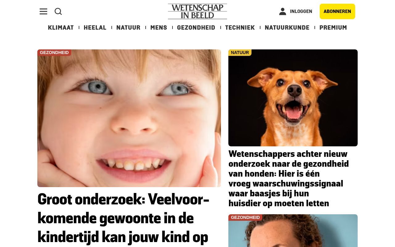 Homepage screenshot of wibnet.nl