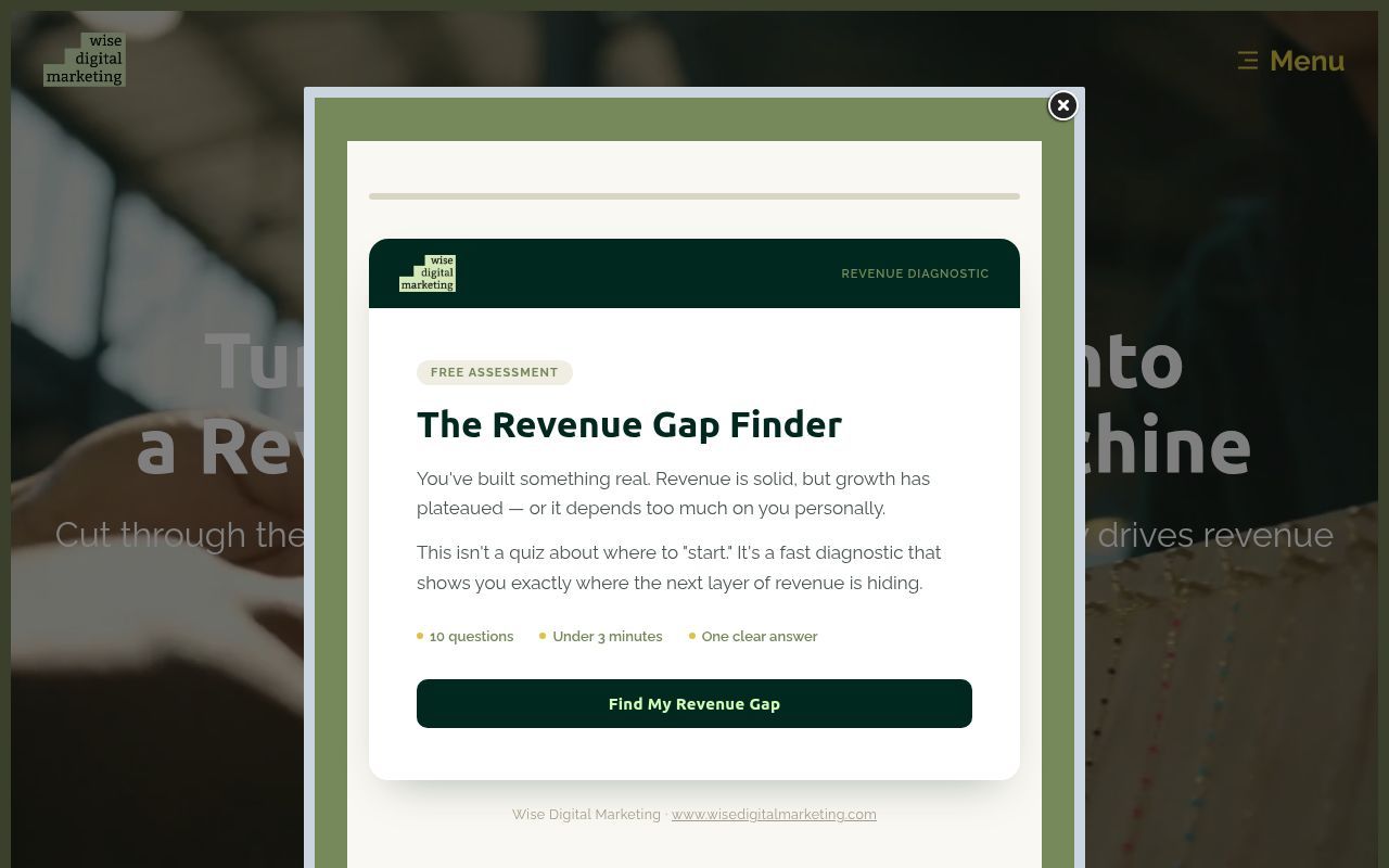 Homepage screenshot of wisedigitalmarketing.com