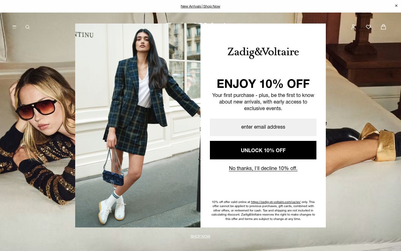 Homepage screenshot of zadig-et-voltaire.com