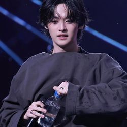 Lee Know (Lee Minho)