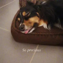 delusionalgirl's Avatar