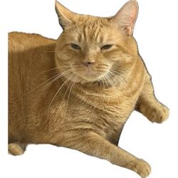 tatertots37's Avatar