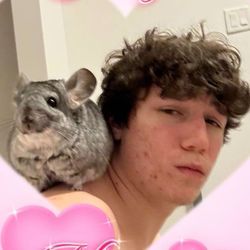 callmecolaa's Avatar