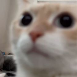 aaron_hats's Avatar