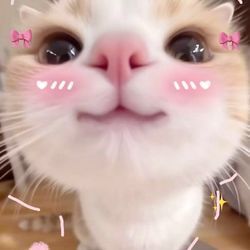 alana's Avatar