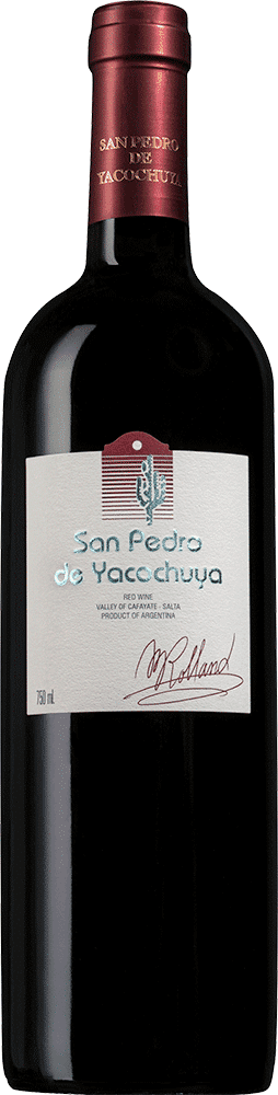 San Pedro de Yacochuya 2019 - Rolland Collection