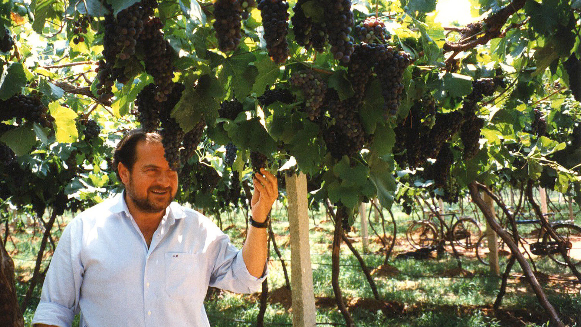 Michel Rolland Rolland Collection