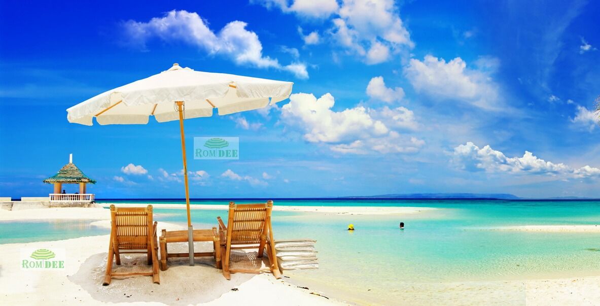 ร่ม outdoor ร่ม outdoor