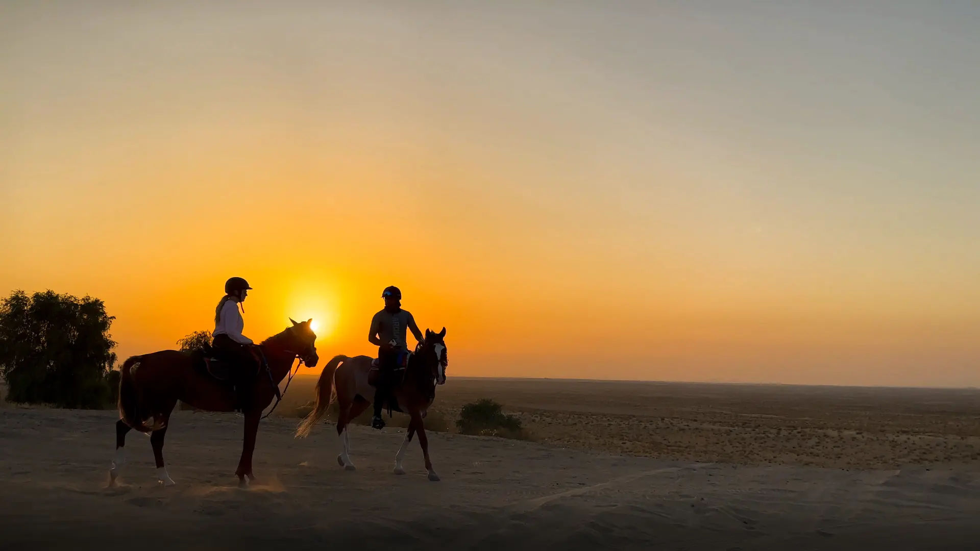Kangaroos in Australian landscape with people in background