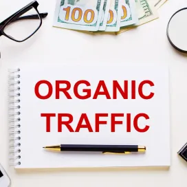 Pentingnya Organic Traffic Untuk Kemajuan Bisnis Anda