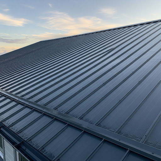 Modern metal roof