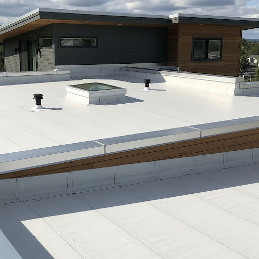 TPO commercial roof