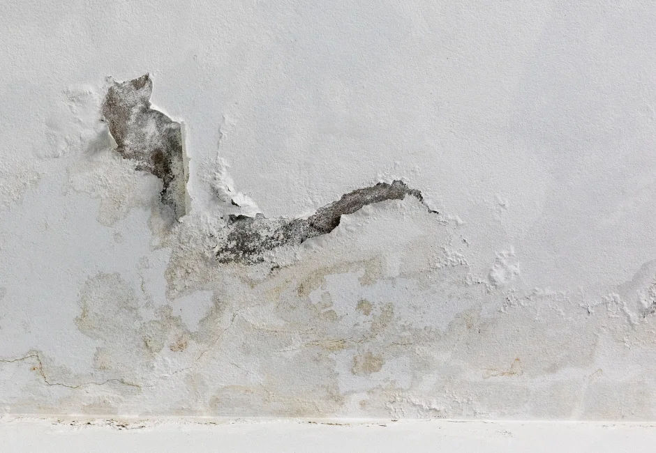 Benefits of Professional Slab Leak Detection