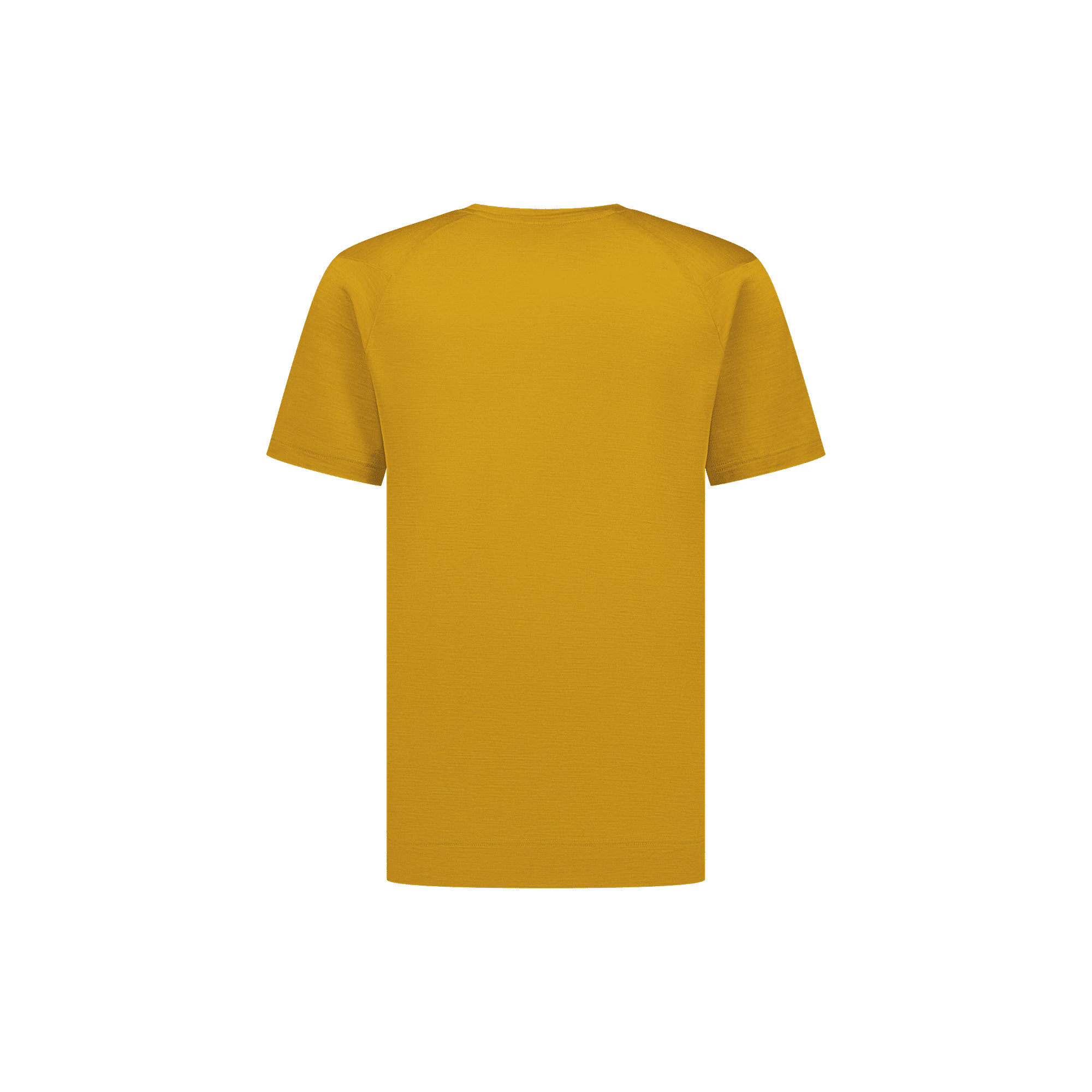 Eco Merino T170, T-Shirt Men