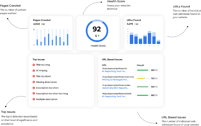 website audit services