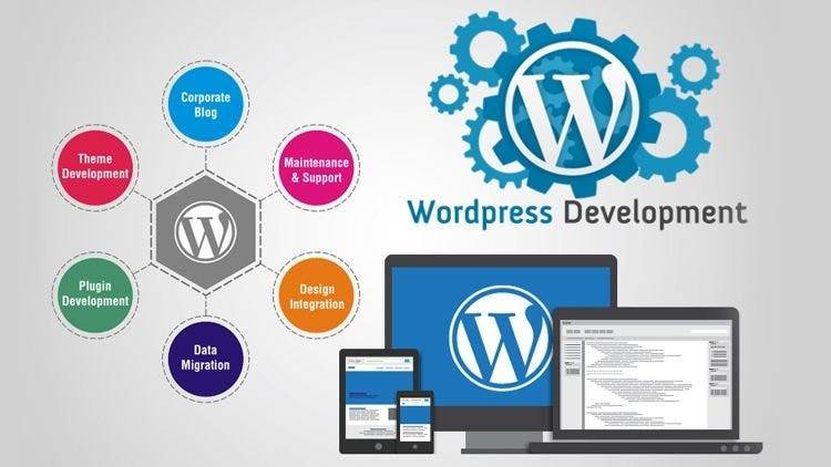 wordpress development in india