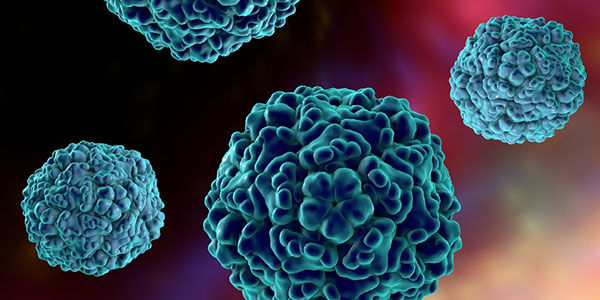 Gambar Enterovirus 71