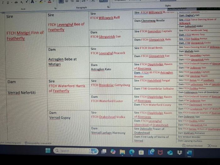 Labrador Retriever puppies for sale in Alexandria, Dunbartonshire – KC registered, 9 months old - Image 4 of 15