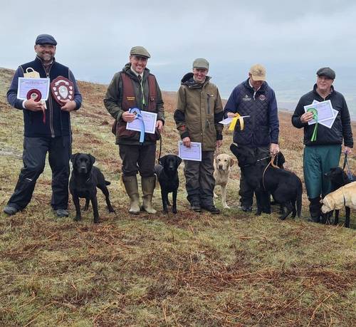 Outstanding Champion KC reg Health Tested Working Labradors for sale in Warrington, Cheshire - Image 9