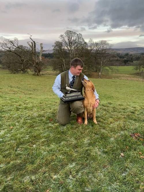 Outstanding KC Registered Fox Red Working Labrador puppies to renowned FTCH for sale in Crossgates, Fife - Image 4