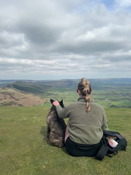 Rehome Tyson for sale in Warrington, Cheshire