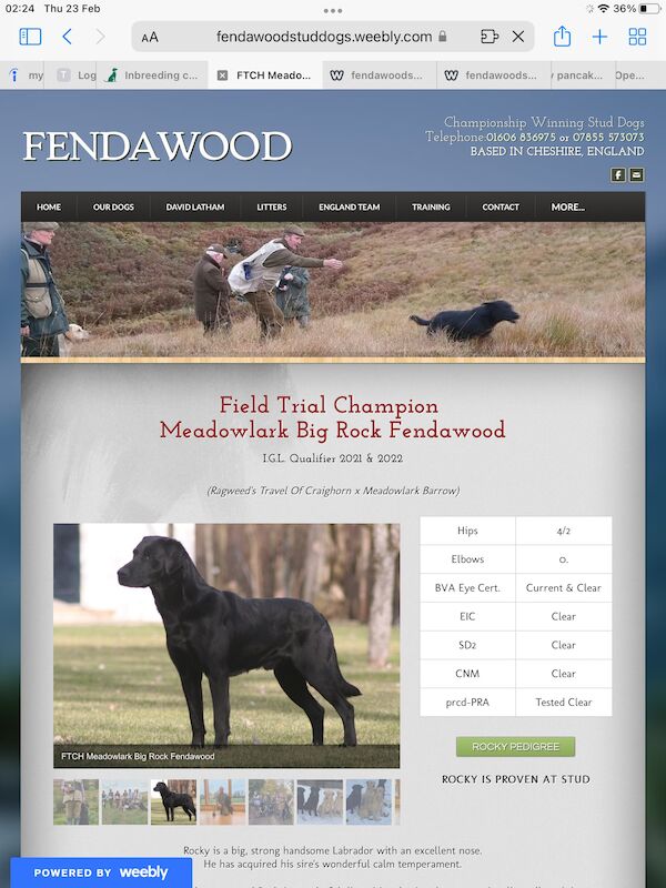 Kc sales stud dogs