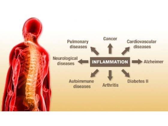 11 Significant Inflammatory Bodily Assaults