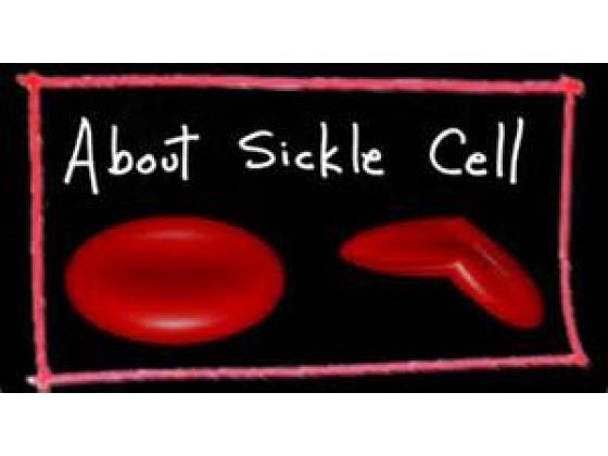 6 Essentials To Know Of Sickle Cell Disorder