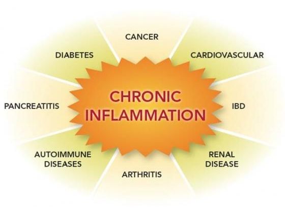 6 Food Essentials To Purge Systemic Inflammation