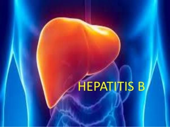 Quick Facts Regarding Hepatitis B (HBV) Infections