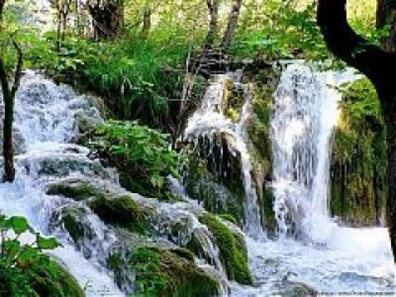 A Prayer Of Morning Gladness