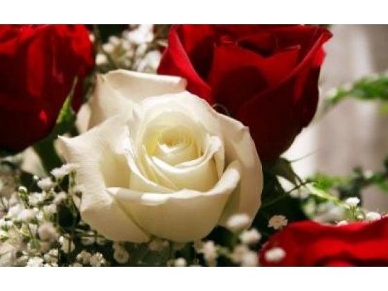 Develop Interest In Life