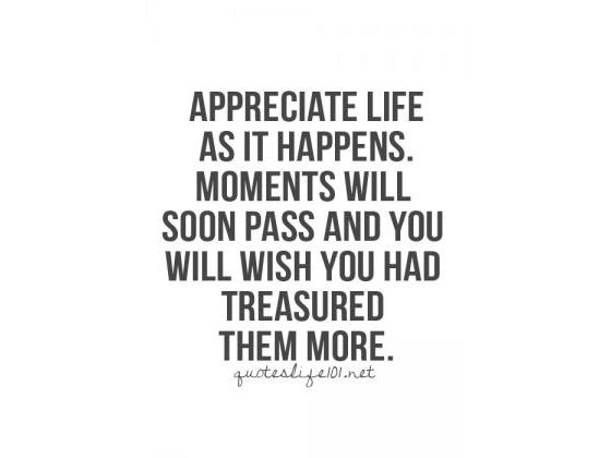 Each Day A Life