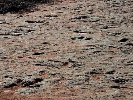 Footprints In The Sand