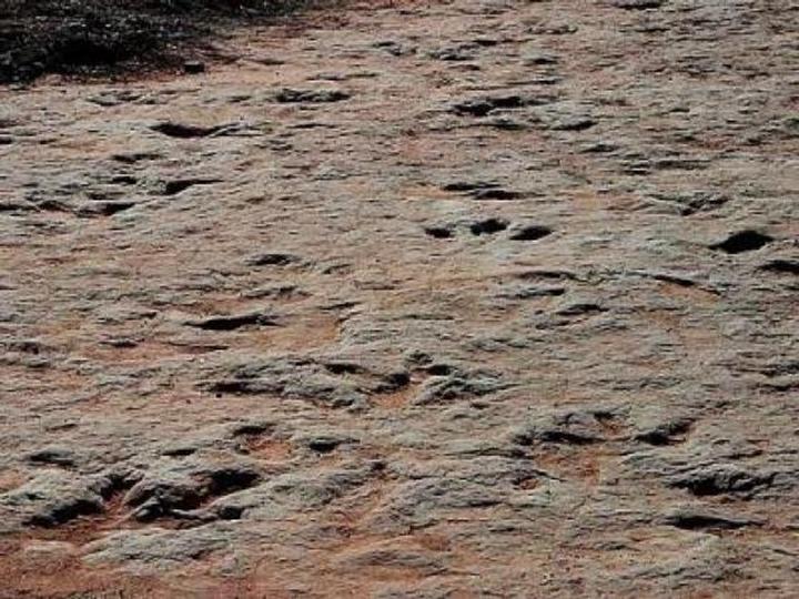 Footprints In The Sand