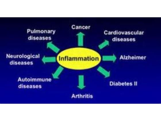 End The Destruction Of Chronic Inflammation