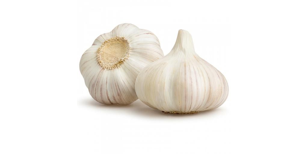 Healing Herbs: Garlic And Your Health