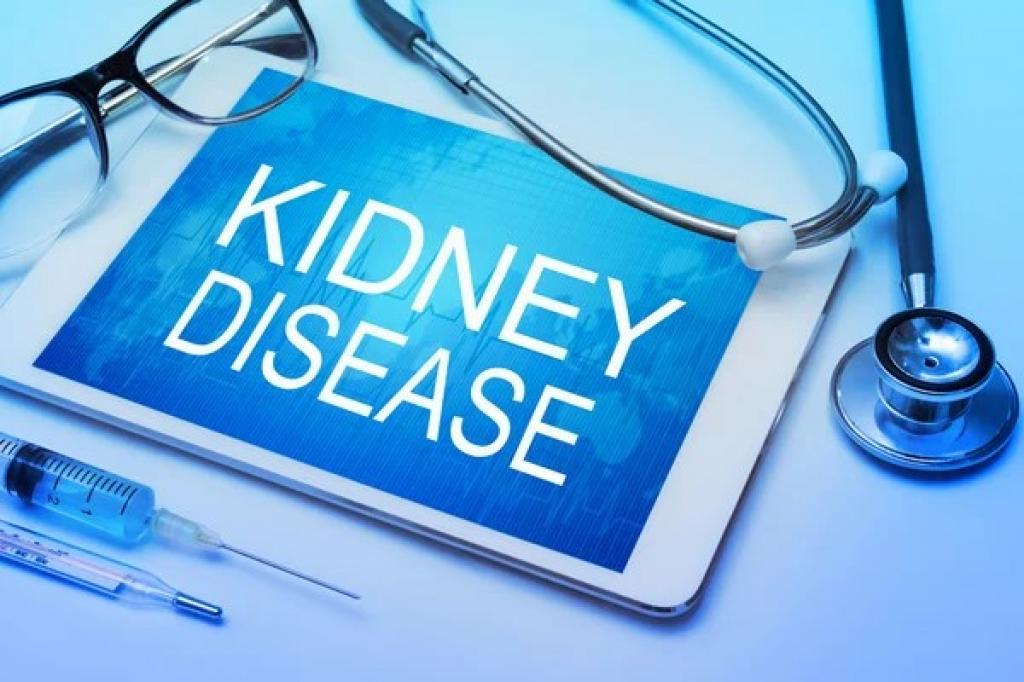 Healthy Kidneys Are Critical To Your Well-being.